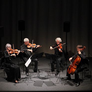 Theme Concerts