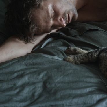 Film: Kater