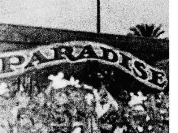 La forza del destino (Programm)