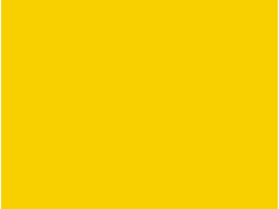 Capriccio (Programm)
