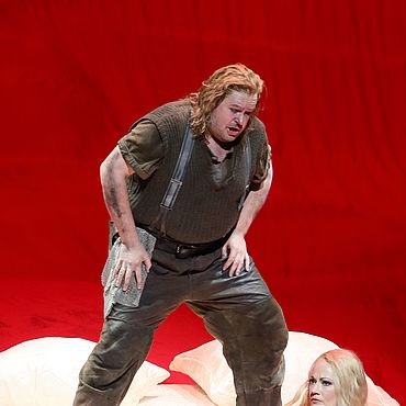 Siegfried, 2015 &copy; W. H&ouml;sl
