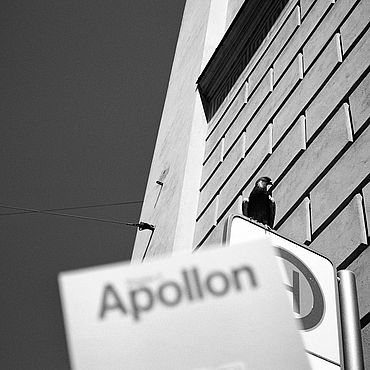 Photo of an issue of Apollon