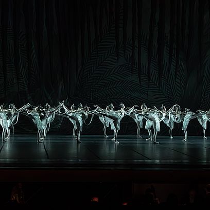 LA BAYAD&Egrave;RE - Ensemble c) Katja Kotter 