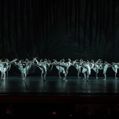 LA BAYADÈRE - Ensemble c) Katja Kotter 