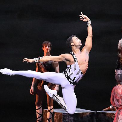 SPARTACUS - Osiel Gouneo (Spartacus) (Foto: &copy; Wilfried H&ouml;sl)