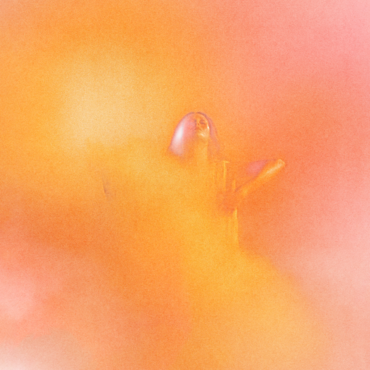 motiv pink, orange