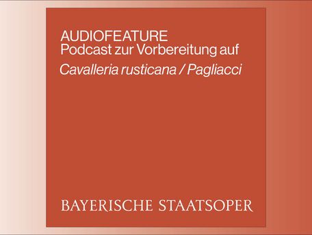 AUDIOFEATURE