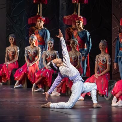 LA BAYADÈRE - Osiel Gouneo c) Katja Kotter 