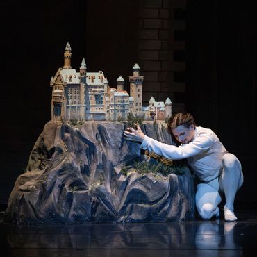 ILLUSIONS - LIKE SWAN LAKE from 16.1.26