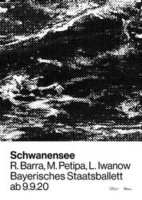 Schwanensee 20-21 A0 (Plakat)