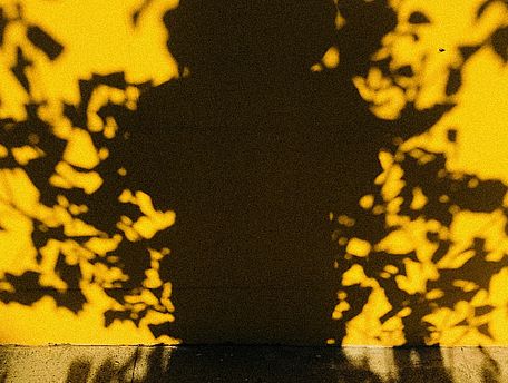 [Translate to EN:] Schatten eines Frauenoberk&ouml;rpers vor gelber Wand