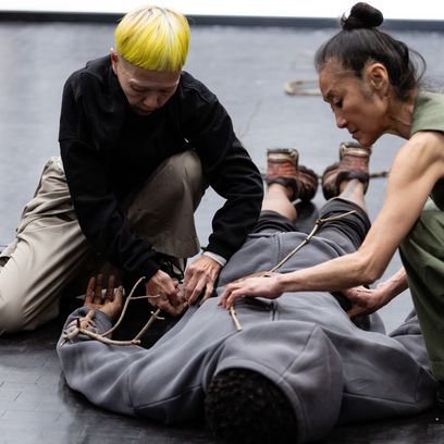 C. Scott-Gilbert; Y. Yoshioka; Y. Kaseki