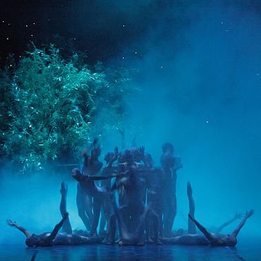 Ein Sommernachtstraum. Ensemble (Foto: Wilfried Hösl)