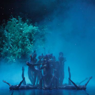 Ein Sommernachtstraum. Ensemble (Foto: Wilfried Hösl)