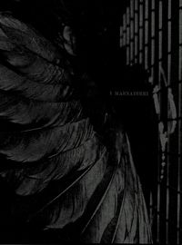 I masnadieri (Programm)