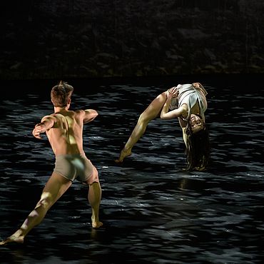 FAUN: A. CASALINHO AND M. FERNANDES