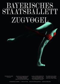 Zugv&ouml;gel (Plakat)