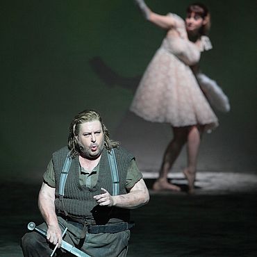 Siegfried, 2015 &copy; W. H&ouml;sl