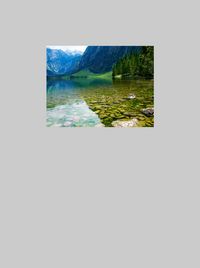 Rusalka (Programm)