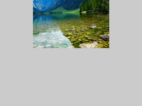 Rusalka (Programm)