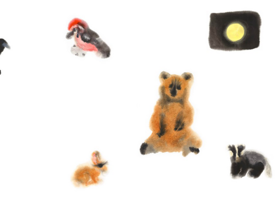 DER MONDBÄR
