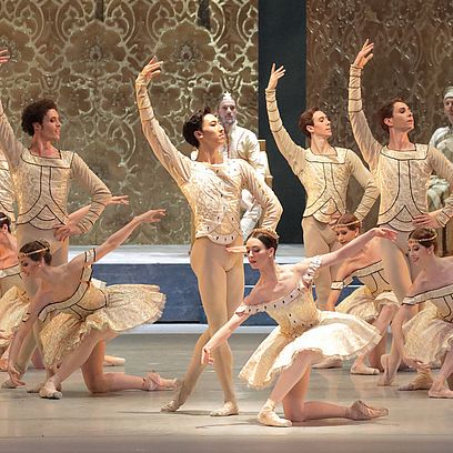 Raymonda: Ensemble, &copy; Wilfried H&ouml;sl