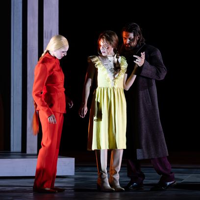 K. Krimmel; E. D. Amico; A. Amerau
