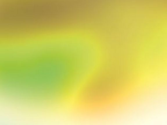 Ein Sommernachtstraum (Programm)