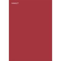 Hamlet (Programm)