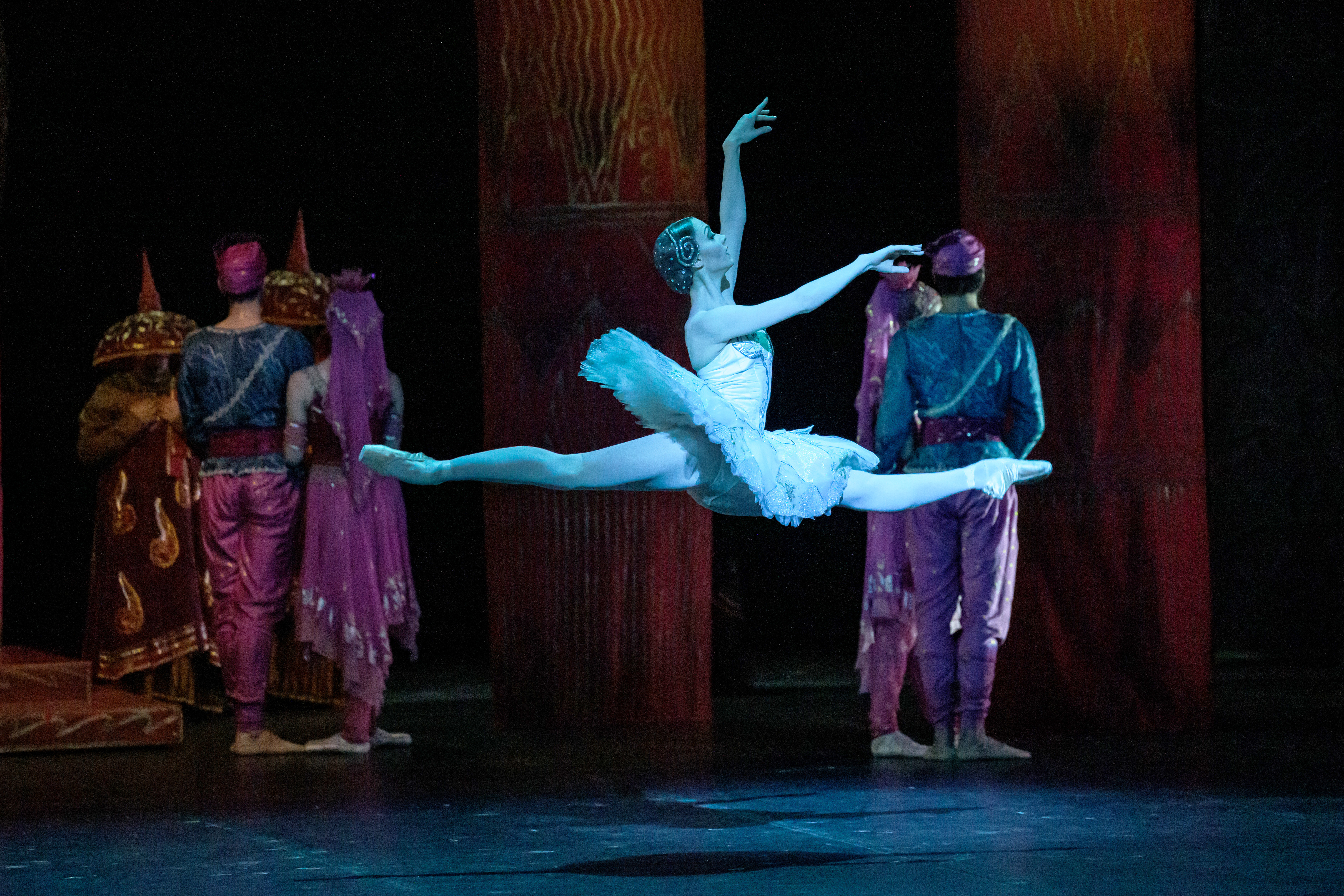 Nikija in LA BAYADÈRE c) S. Gherciu