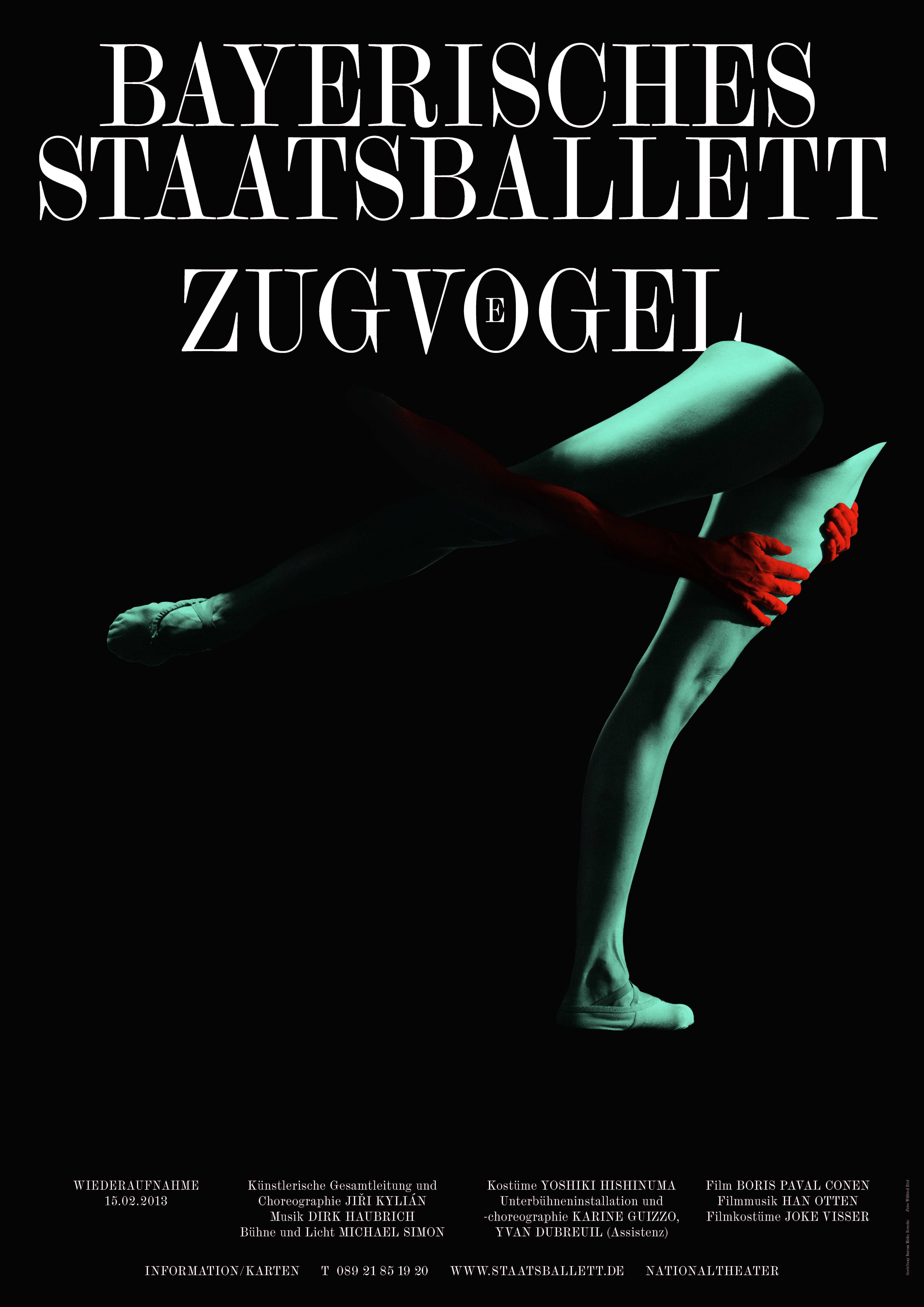 Zugv&ouml;gel (Plakat)                                                          