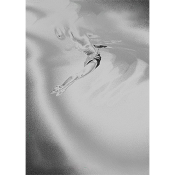 Common Ground (Programm)