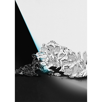 Alcina 2026 (Programm)