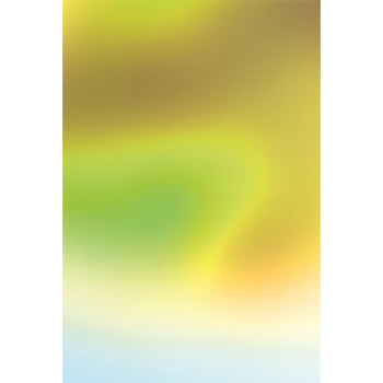 Ein Sommernachtstraum (Programm)                                                
