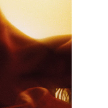 Wings of Memory  (Programm)